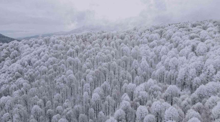 Bursa’da kar kartpostallık görüntüler oluşturdu