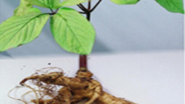 Mucize İle Tanışalım