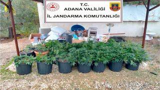 Kiraladıkları villada iklimlendirme sistemiyle kenevir yetiştirmişler