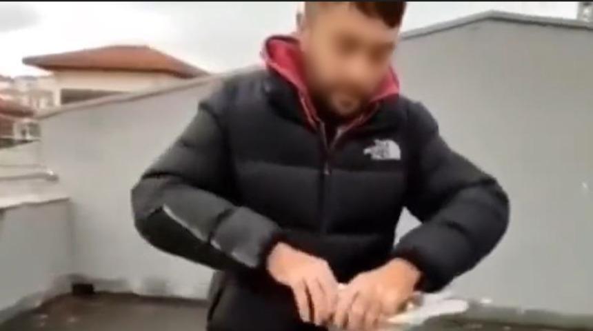 İsyan ettiren görüntü! Güvercinin başını koparıp öldürdü: Bu nasıl bir canilik?