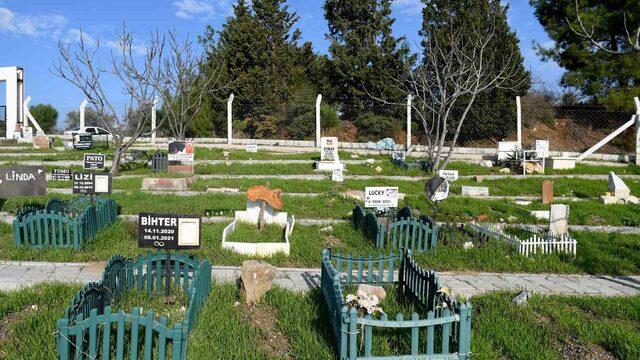 Kuşadası hayvan mezarlığına 3 yılda 335 hayvan gömüldü