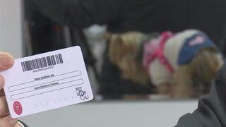 Başvuru için uzun kuyruklar olmuştu! Bakan duyurdu: Süre uzatılabilir