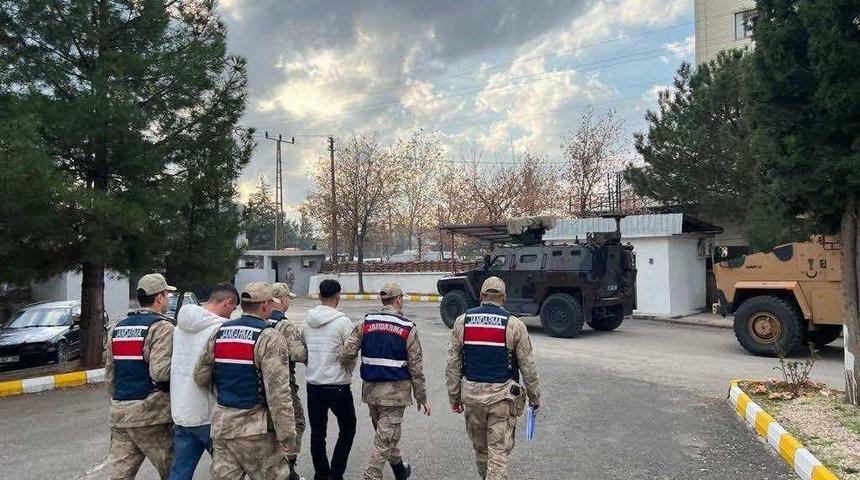 Diyarbakır’da büyükbaş hayvan hırsızları tutuklandı