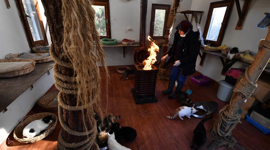 Bursa'daki kedi villalarında sobalar yanmaya başladı