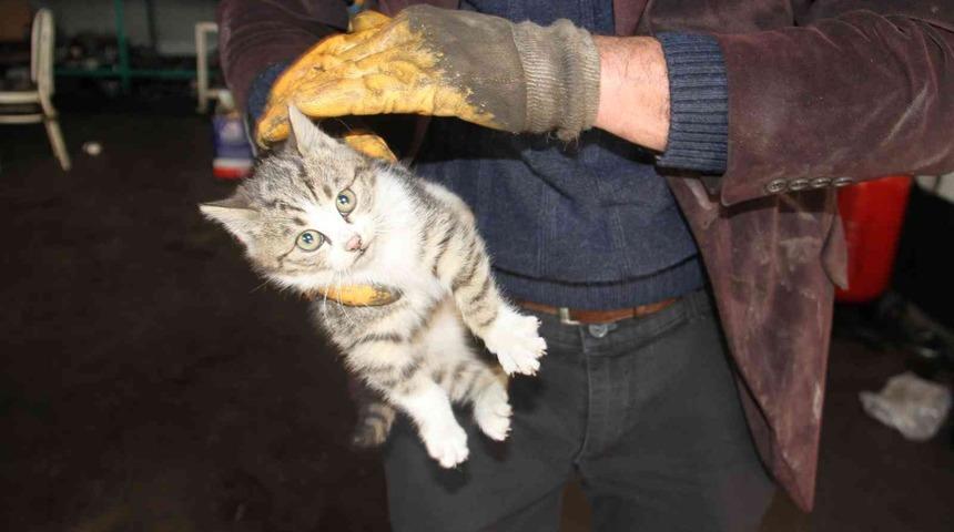 Otomobilin motor kısmından kurtarıldı, gazetecilerin aracına girdi