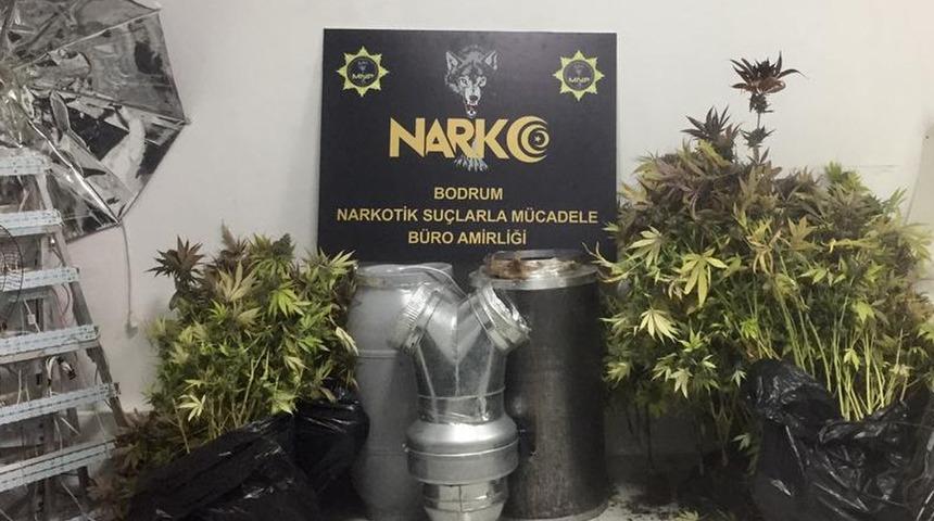 Evini kenevir bahçesine çevirdi! Gözaltına alındı