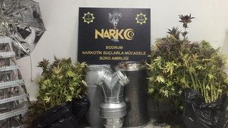 Evini kenevir bahçesine çevirdi! Gözaltına alındı