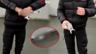 Sosyal medya ayağa kalktı! Korkunç görüntüler, güvercinin kafasını kopardı