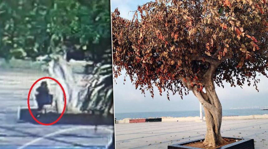 Matkapla delip içine asit enjekte ettiler! Mersin'de sembol haline gelmişti... Dikkat çeken 'talimat' iddiası: "Olay siyasi kurgu"