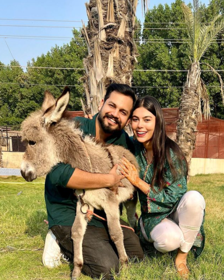 Pakistanlı damadın geline hediyesi herkesi şoke etti! Geline düğünde eşek aldı G3