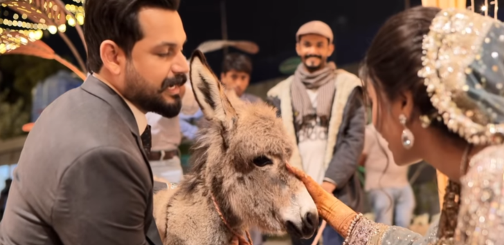 Pakistanlı damadın geline hediyesi herkesi şoke etti! Geline düğünde eşek aldı G4