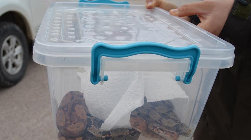 Şüphe üzerine durdurulan aracın bagajından çıktı! Ülkeye yasa dışı yollarla getirmişler...