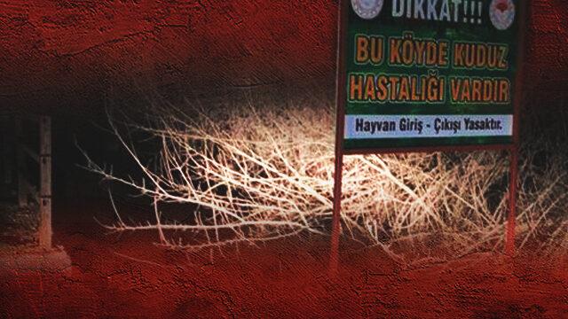 Adıyaman’da kuduz paniği! 3 köyde 6 ay karantina uygulanacak