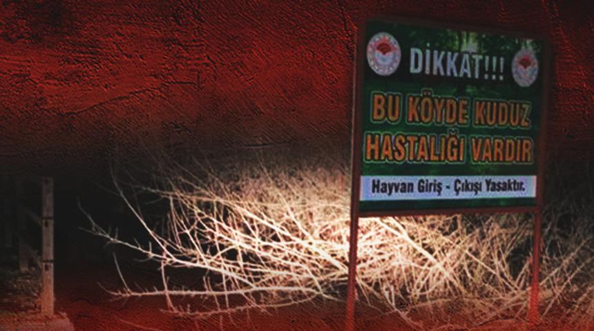 Adıyaman’da kuduz paniği! 3 köyde 6 ay karantina uygulanacak