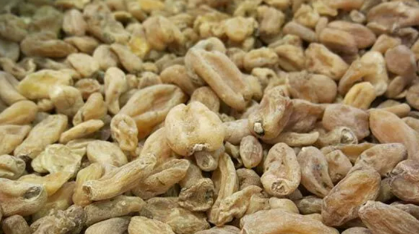 Beyaz altın olarak biliniyor! Kış aylarının vazgeçilmez içeceği cinsel gücü artırıyor, öksürüğü geçiriyor