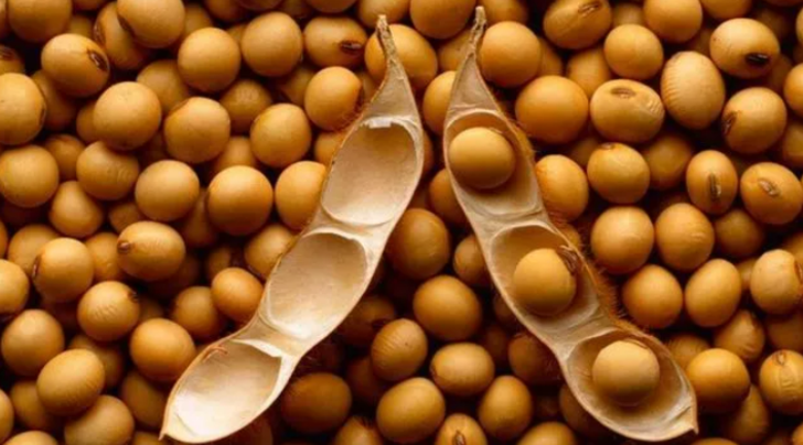 Yemeden önce tekrar düşünün! Bu yiyecekler boyun kısa olmasına neden oluyor G1