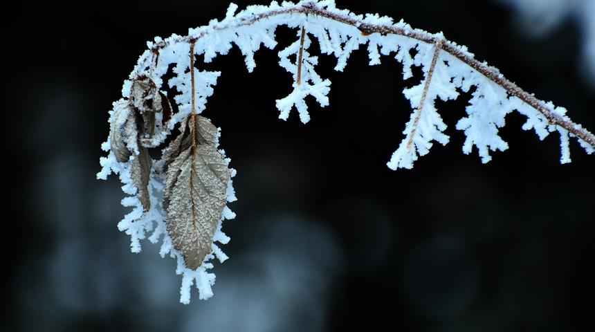 Kars'ta kar, Erzurum ve Ardahan'da soğuk hava etkili oluyor