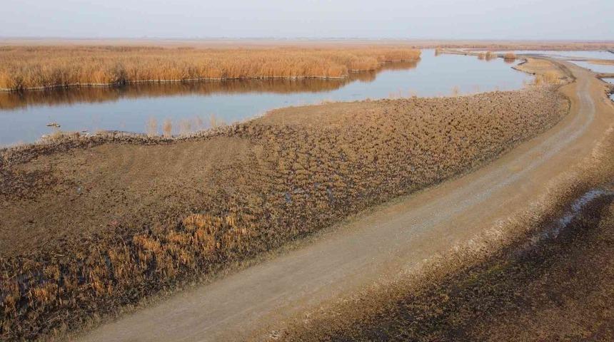 Ağrı Dağı eteklerinde yer alan Karasu’nun suyu çekiliyor