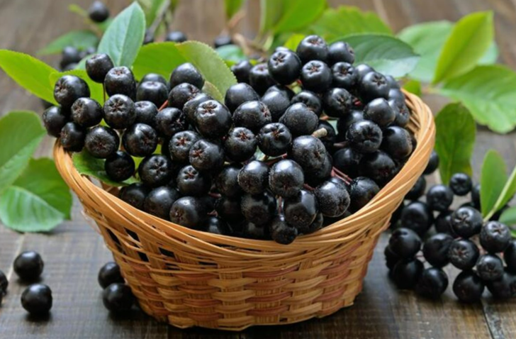 Üzüme benziyor ama değil: Cinsel gücü tavan yaptırıyor! En güçlü antioksidanlardan G3