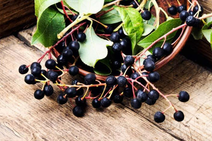 Üzüme benziyor ama değil: Cinsel gücü tavan yaptırıyor! En güçlü antioksidanlardan G4