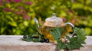 Acı çehre çayı faydaları nelerdir, neye iyi gelir? Acı çehre çayı nasıl yapılır, nasıl demlenir?