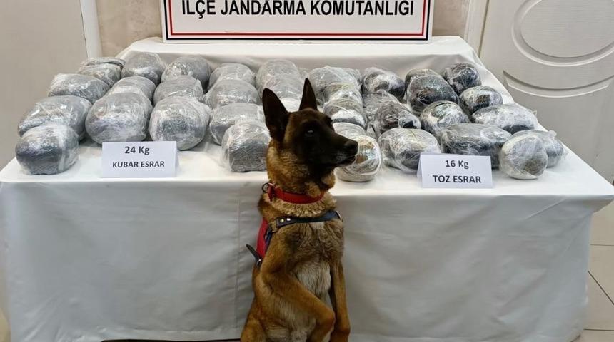 Sivas'ta uyuşturucu operasyonunda 2 şüpheli gözaltına alındı