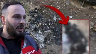 İstanbul'da vahşet! Canilik bu! Tasması ve zinciri vardı