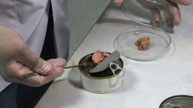 33 farklı ton balığı markası incelendi! Konserve balıktan eldiven parçaları çıktı: Hormonları da bozuyor, kanser de yapıyor