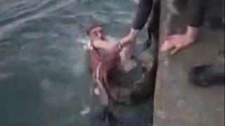 6 kilo ağırlığındaki ahtapotu denizde görünce hemen atladı! Eliyle böyle yakaladı