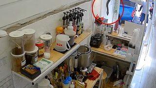 Dükkanın tavanından sarkan piton aklını aldı! Az kalsın canını da alacaktı ama...