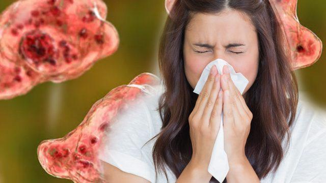 Etkileri korkutucu: Burun yoluyla bulaşıyor ölüme sebep oluyor... Güney Kore'de beyin yiyen amip paniği!