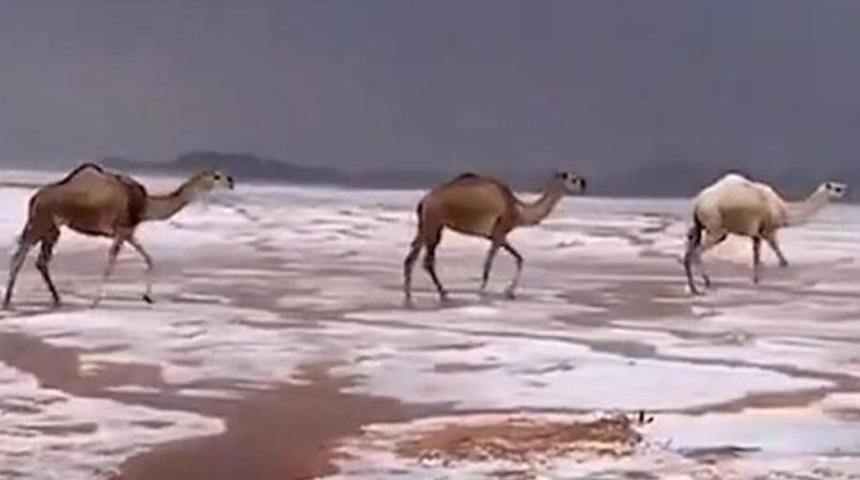 Soğuk ve yağışlı hava Arap Yarımadası'nı esir aldı! Çöle kar yağdı