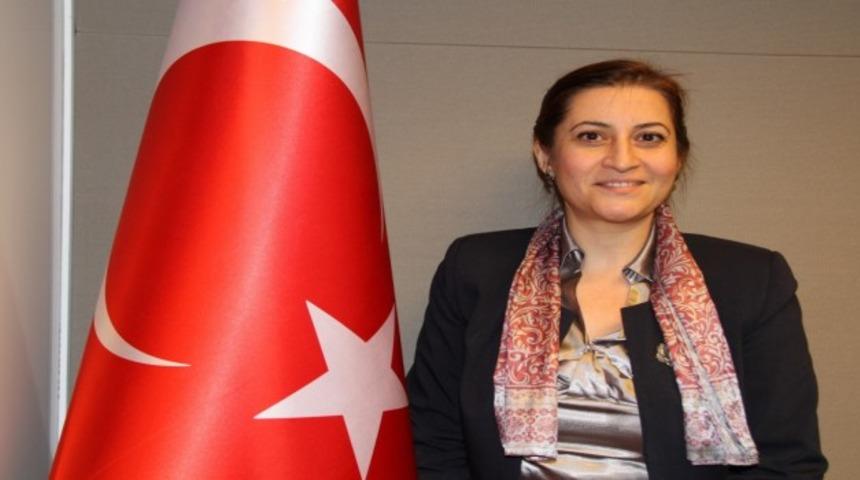 Dilşad Kırbaşlı Karaoğlu kimdir? Resmi Gazete'de yayımlandı! Avrupa Birliği Genel Müdür Yardımcısı Dilşad Kırbaşlı Karaoğlu'nun hayatı!