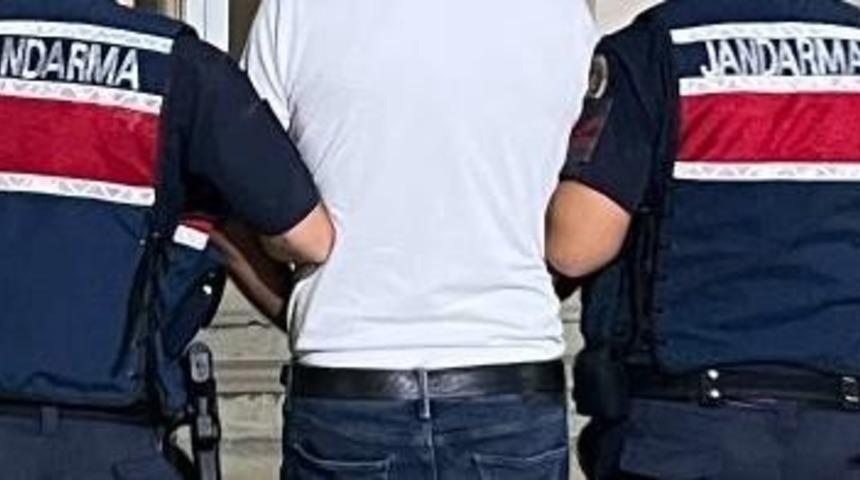 Aydın’da zeytin hırsızı suçüstü yakalandı