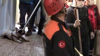 7. katın penceresinden girdi ama cesedin yanına yaklaştırmadılar! Yüz üstü halde yerde bulundu 