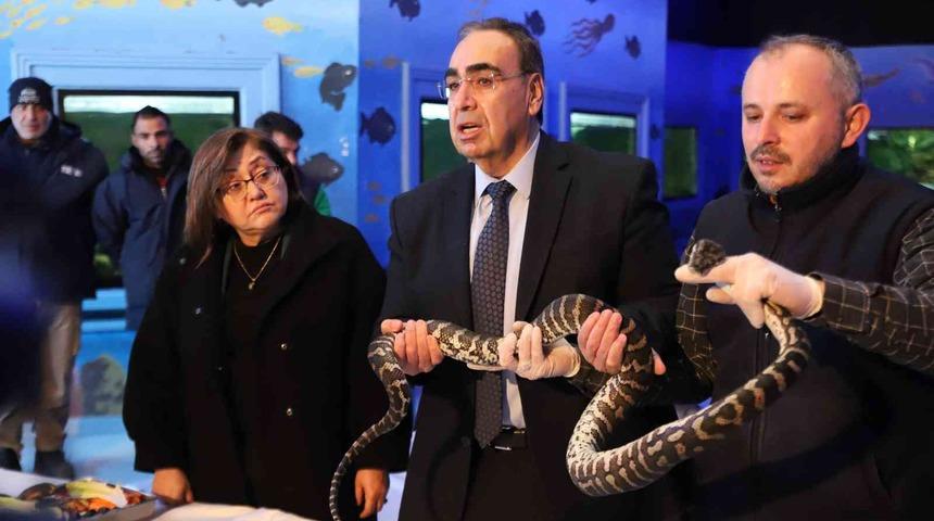 Kaçak yollarla yurda sokulan 108 hayvanın yeni yuvası Gaziantep oldu