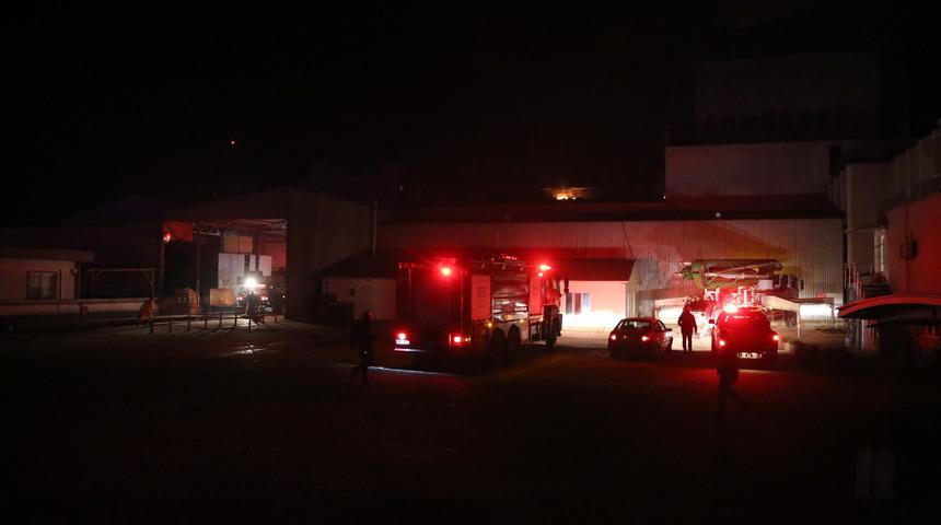 Muğla'da balık yemi fabrikasında çıkan yangın kontrol altına alındı