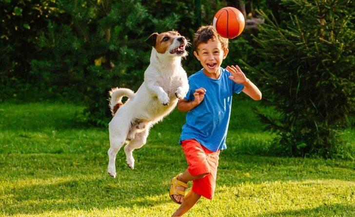 Topunu attığınızda size tekrar getirmesi ne söylemek istiyordur?