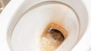 Tuvaleti tamamen yanlış temizliyormuşuz! Bu kolay ve hijyenik temizleme tüyosu tuvaletleri tertemiz yapacak