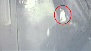 Çöp zannettiği adamı ezip kaçtı! İstanbul'da yaşanan akılalmaz olay kamerada