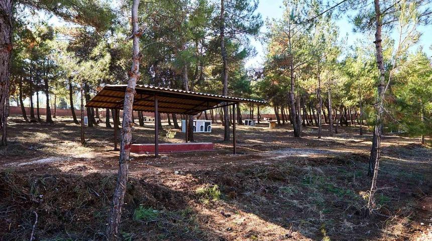 Gaziantep’te sokak hayvanlarına yaşam alanı