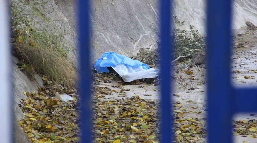 Zeytin toplamak için çıktığı ağaç sonu oldu