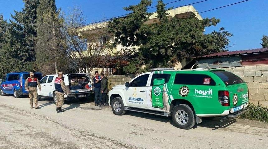 Hatay’da sokak köpeğine silahla ateş eden şüpheli yakalandı