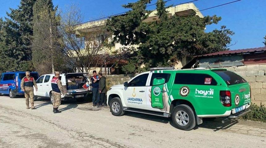 Sokak köpeğine silahla ateş etmişti! O şüpheli yakalandı