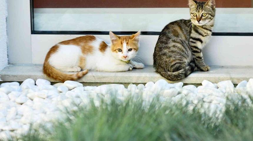 Engelsiz Çocuk Gündüz Bakımevi’ne kayıtlar devam ediyor