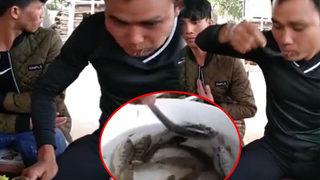 Sosyal medyayı karıştıran görüntüler! Tayland’da balığı sosa batırıp canlı canlı yediler... Görenler inanamadı