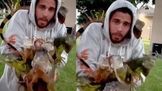 Kıyamet alameti gibi! Gökten yağan iguanaları böyle kurtardı... Tek tek elleriyle topladı