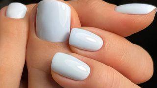 Sosyal medya ikiye bölündü: Tırnakların beyaz mı mavi mi olduğu tartışılıyor