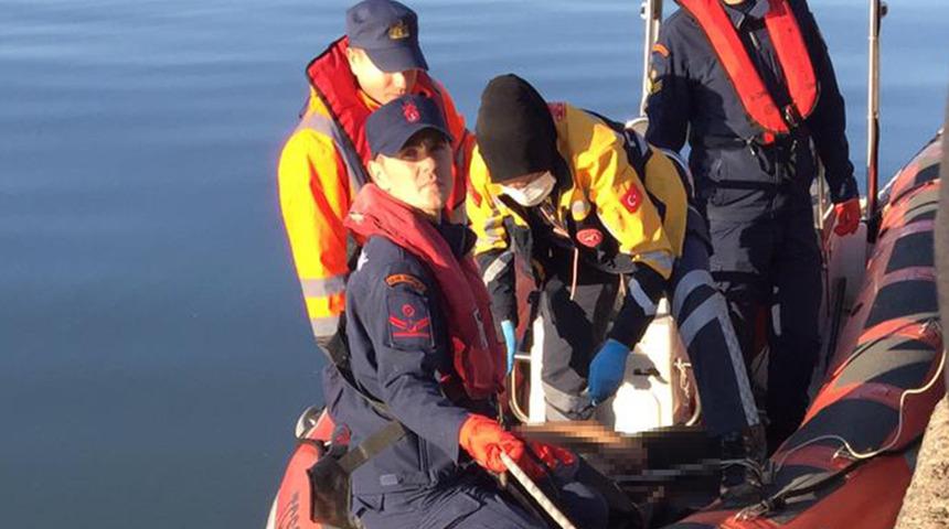 Sinop açıklarında sabah saatlerinde denize düşüp kaybolmuştu! Cansız bedeni bulundu