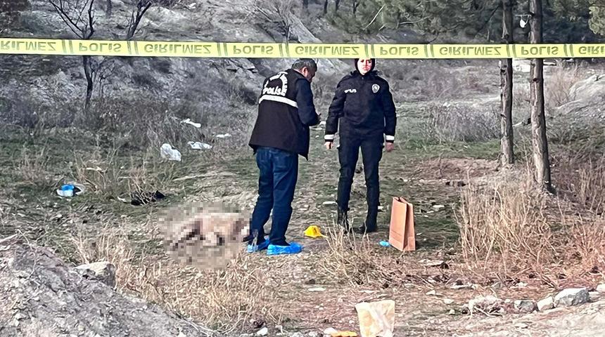 Ankara'da kan donduran olay! Tüfekle vurulmuş 4 köpek ölüsü bulundu